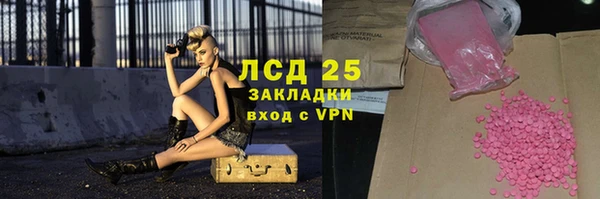 гидра Кодинск