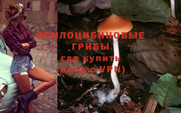 гидра Кодинск
