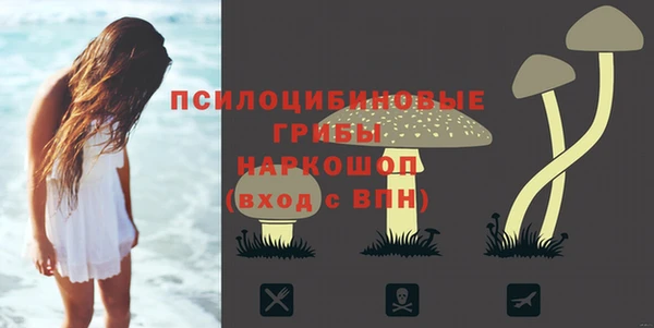 метамфетамин Козловка