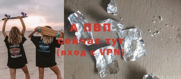гидра Кодинск