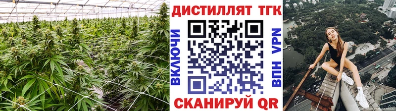 Купить где Моздок ТГК концентрат