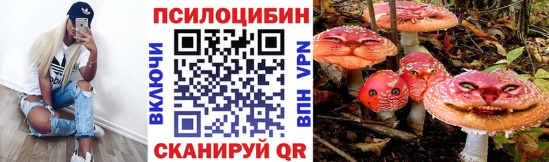 Псилоцибиновые грибы Psilocybe  Купить  Моздок 